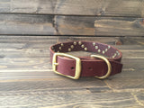 'HELIX' LEATHER Rivet Dog Collar  1" - Chocolate Brown