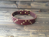 'HELIX' LEATHER Rivet Dog Collar  1" - Chocolate Brown