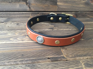 'COOPER' SELECT LEATHER Dog Collar  1" - Black with Whiskey Tan